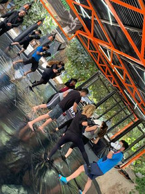 Imagen 5 de la galería del partner Blackbird Mixed Martial Arts