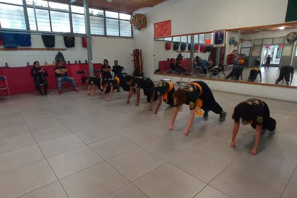 Imagen 4 de la galería del partner Jīn lóng Shī