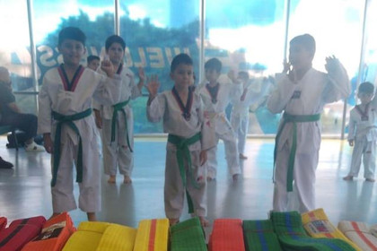 Imagen 1 de la galería del partner TAEKWONDO PLAZA SANIA