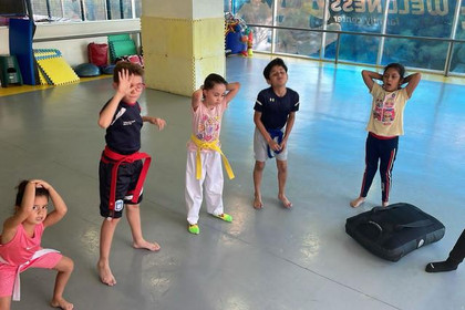 Imagen 2 de la galería del partner TAEKWONDO PLAZA SANIA