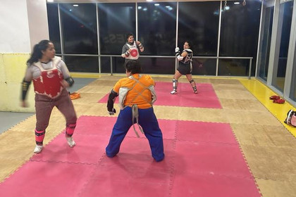 Imagen 4 de la galería del partner TAEKWONDO PLAZA SANIA