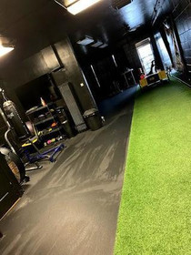 Image 4 from Lion Athletics partner gallery