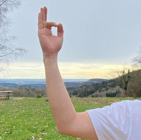 Bild 5 von Yogaschule Minz - Dresden-Striesen Partnergalerie
