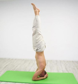 Bild 6 von Yogaschule Minz - Dresden-Striesen Partnergalerie