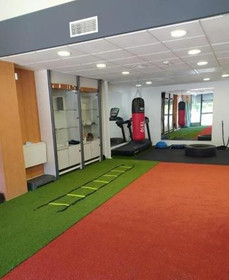 Imagen 1 de la galería del partner Fufutrainer Sevilla