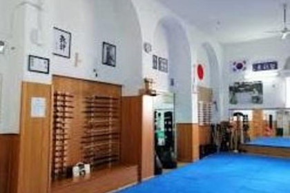 Immagine 4 dalla galleria del partner New Progetto Marziale
