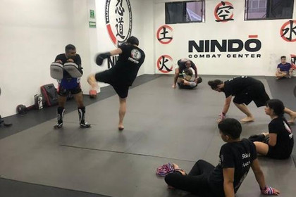 Imagen 2 de la galería del partner Nin-do Academy