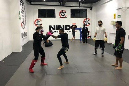 Imagen 3 de la galería del partner Nin-do Academy