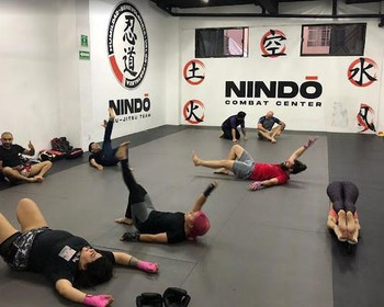 Imagen 5 de la galería del partner Nin-do Academy