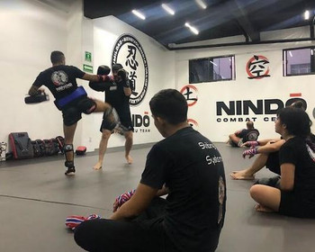Imagen 6 de la galería del partner Nin-do Academy