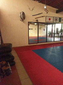 Imagen 3 de la galería del partner Miyagi Karate Joaquín Amaro