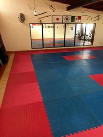 Imagen 5 de la galería del partner Miyagi Karate Joaquín Amaro