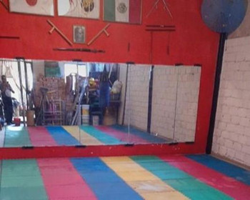 Imagen 3 de la galería del partner Miyagi Karate Sto Domingo