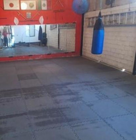 Imagen 4 de la galería del partner Miyagi Karate Sto Domingo