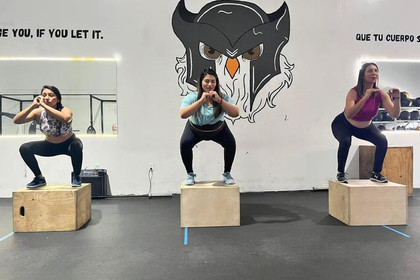 Image 3 from Athena Strength partner gallery