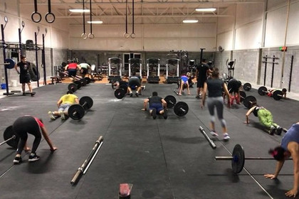 Imagen 5 de la galería del partner Invictus CF 1014 Arena Fitness