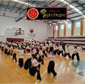 Imagen 2 de la galería del partner Kung Fu Tigre Negro