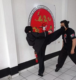 Imagen 4 de la galería del partner Kung Fu Tigre Negro