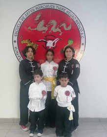 Imagen 5 de la galería del partner Kung Fu Tigre Negro