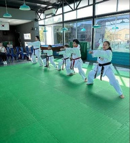 Imagen 3 de la galería del partner Taekwondo MDK Revolución