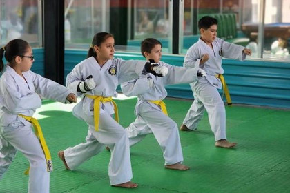 Imagen 5 de la galería del partner Taekwondo MDK Revolución