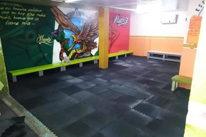 Imagen 3 de la galería del partner Alvarez Boxing Gym