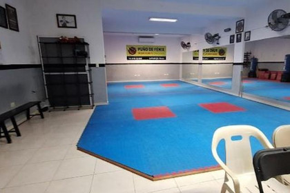 Imagen 1 de la galería del partner PUÑO DE FÉNIX WUSHU KUNG FU