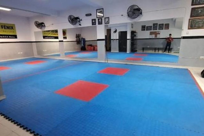 Imagen 2 de la galería del partner PUÑO DE FÉNIX WUSHU KUNG FU