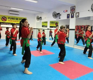 Imagen 4 de la galería del partner PUÑO DE FÉNIX WUSHU KUNG FU