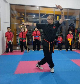 Imagen 5 de la galería del partner PUÑO DE FÉNIX WUSHU KUNG FU