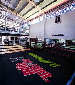 Imagen 1 de la galería del partner Kochul Gym Scally