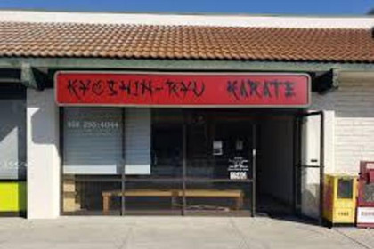 Image 2 from Kyoshin-Ryu Karate partner gallery