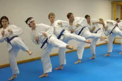 Image 4 from Kyoshin-Ryu Karate partner gallery