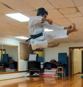 Image 5 from Kyoshin-Ryu Karate partner gallery
