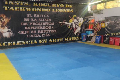 Imagen 4 de la galería del partner Taekwondo Koguryo Leones Camacho