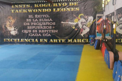 Imagen 5 de la galería del partner Taekwondo Koguryo Leones Camacho