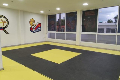 Imagen 1 de la galería del partner Taekwondo Koguryo Leones Cipres