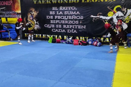 Imagen 2 de la galería del partner Taekwondo Koguryo Leones Cipres