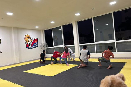 Imagen 3 de la galería del partner Taekwondo Koguryo Leones Cipres