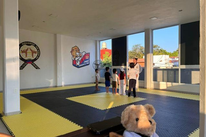 Imagen 4 de la galería del partner Taekwondo Koguryo Leones Cipres