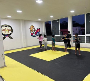 Imagen 5 de la galería del partner Taekwondo Koguryo Leones Cipres