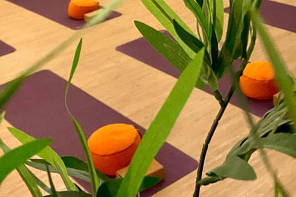 Bild 5 von GesuVita Health Club Partnergalerie