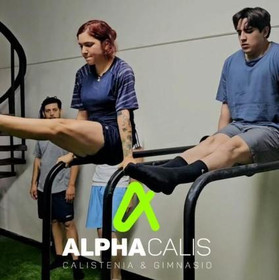 Imagen 5 de la galería del partner Alpha Calis Calistenia & Gimnasio