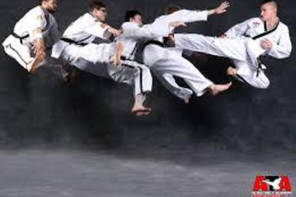 Image 3 from Powell ATA Black Belt Academy partner gallery