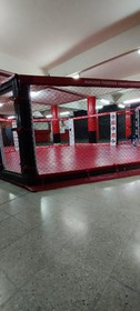 Imagen 3 de la galería del partner Hfc contender