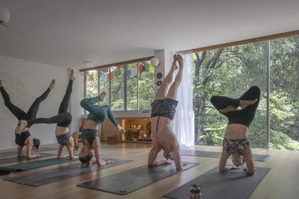 Imagen 5 de la galería del partner Shankara Yoga