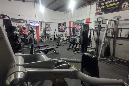 Imagen 2 de la galería del partner Doberman Coliseo