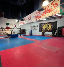 Imagen 1 de la galería del partner Academia Karate Santa Rosa
