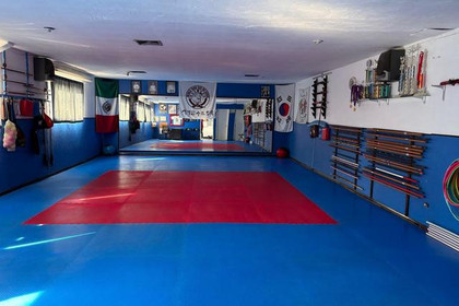 Imagen 2 de la galería del partner Academia Karate Santa Rosa
