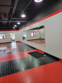 Image 1 from Tamashi Martial Arts partner gallery
